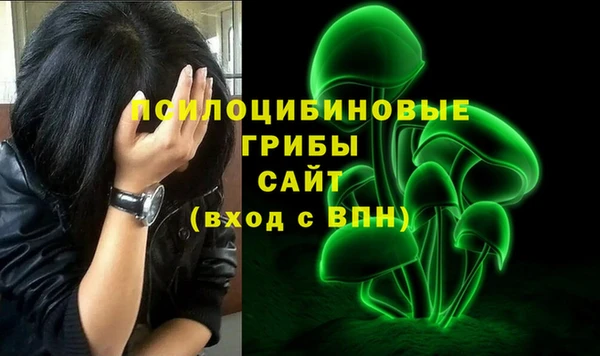 ГАЛЛЮЦИНОГЕННЫЕ ГРИБЫ Алексеевка